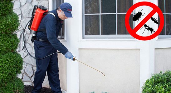 Yenişarbademli Fare İlaçlama böcek ilaçlama ve haşere kontrolü — ilaclama-tr.com